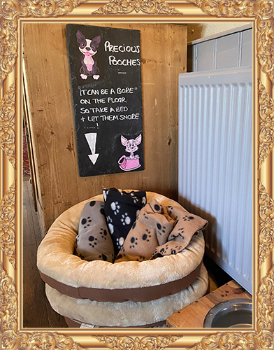 dog friendly with frame